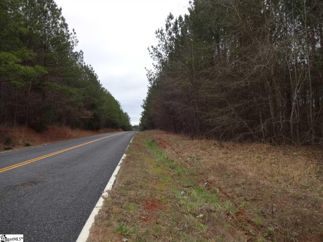 0 Langston Road Clinton, SC 29325 - Photo 26 of 35 Gallery Image 26