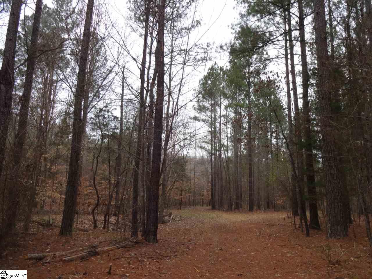 0 Langston Road Clinton, SC 29325 - Photo 5 of 35 Gallery Image 5