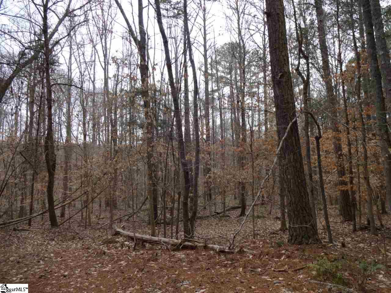 0 Langston Road Clinton, SC 29325 - Photo 6 of 35 Gallery Image 6