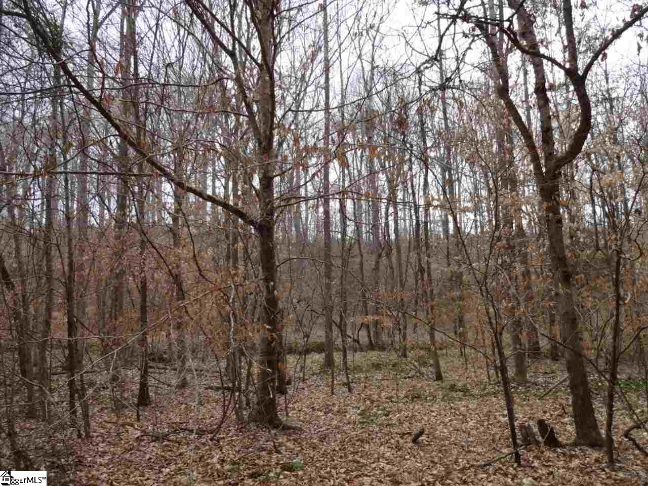 0 Langston Road Clinton, SC 29325 - Photo 7 of 35 Gallery Image 7