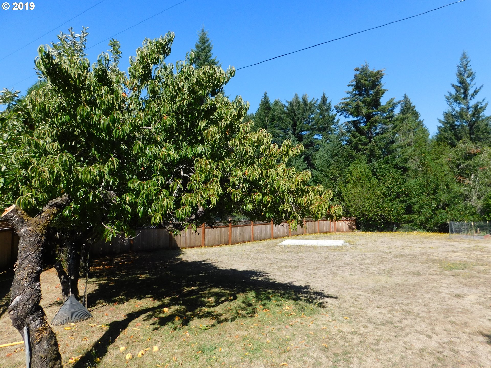 55928 Gold Brick Road Myrtle Point, OR 97458 - Photo 30 of 32 Gallery Image 30