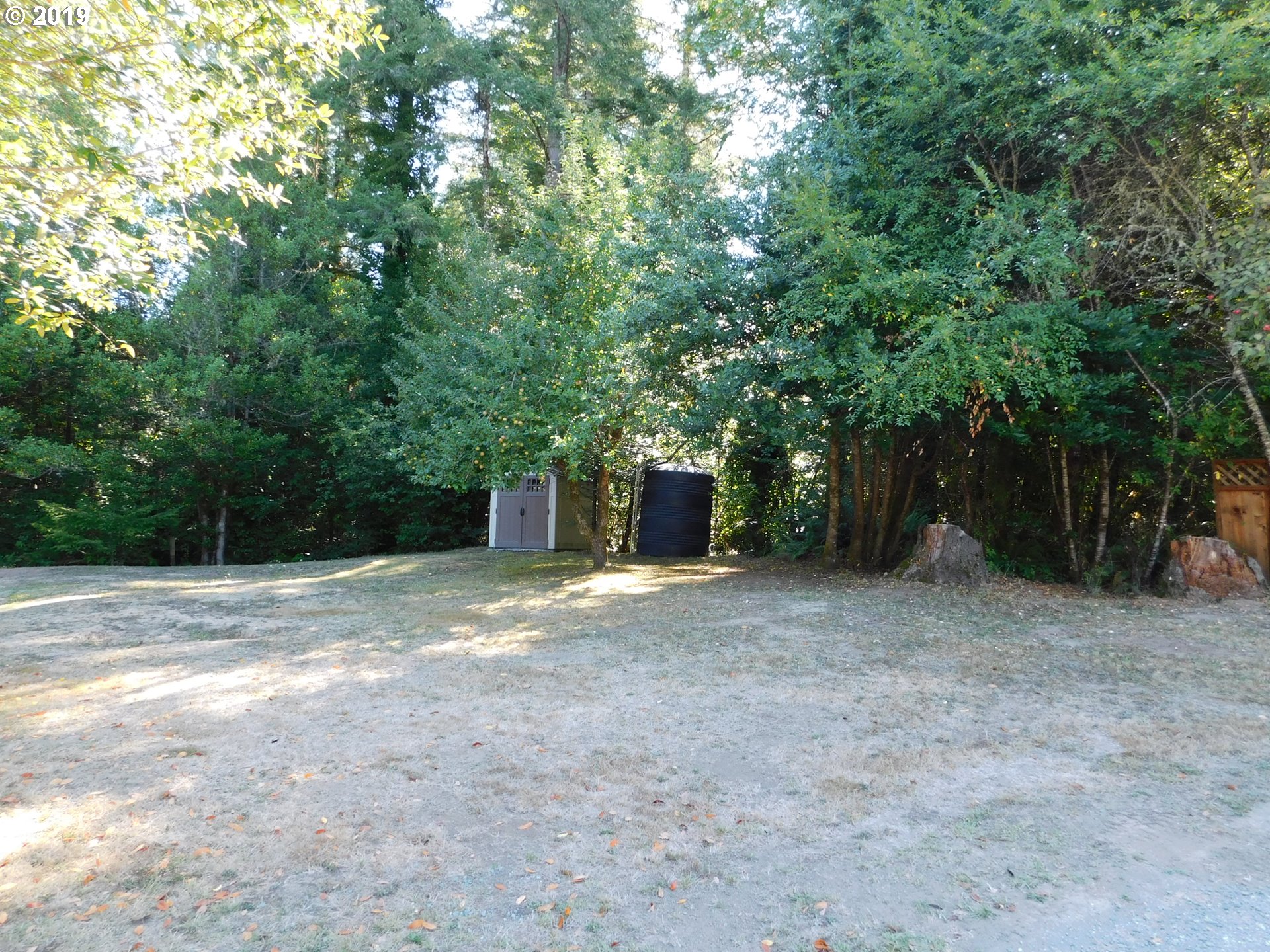 55928 Gold Brick Road Myrtle Point, OR 97458 - Photo 8 of 32 Gallery Image 8