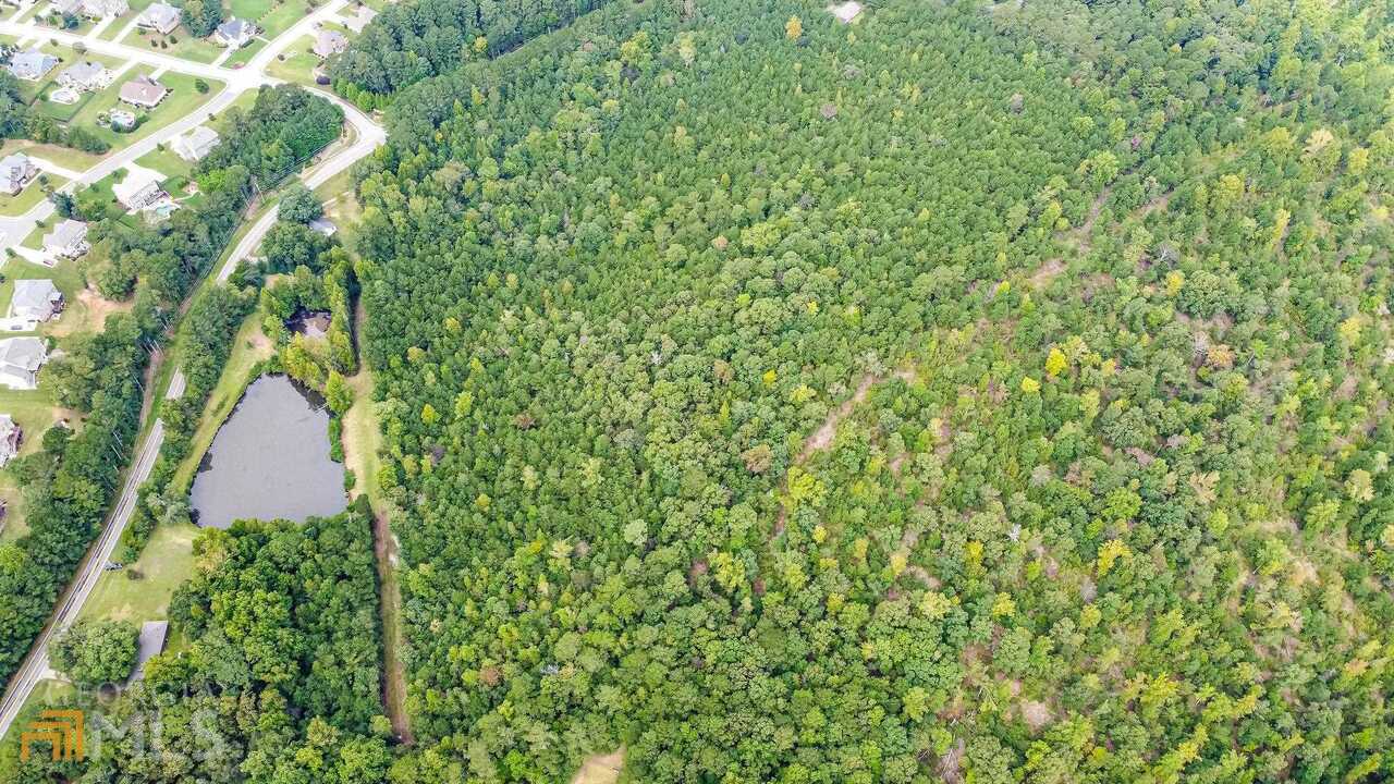 0 Emmett Still Road, Unit TRACT 04 Loganville, GA 30052 - Photo 11 of 23 a picture of a tree