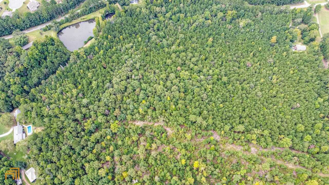 0 Emmett Still Road, Unit TRACT 04 Loganville, GA 30052 - Photo 17 of 23 a close up of a tree