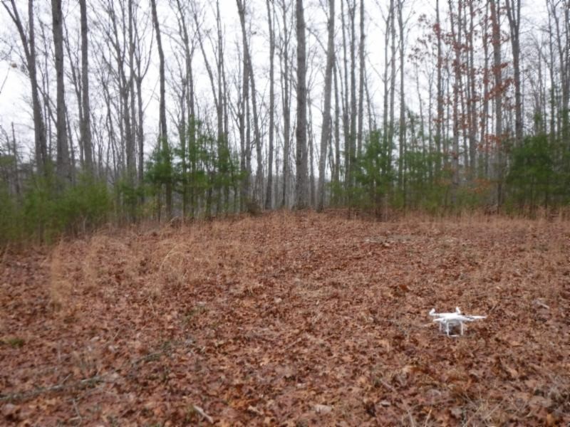 27 16ac Arrowhead Road Moss, TN 38575 - Photo 1 of 25 a view of a green field with lots of bushes
