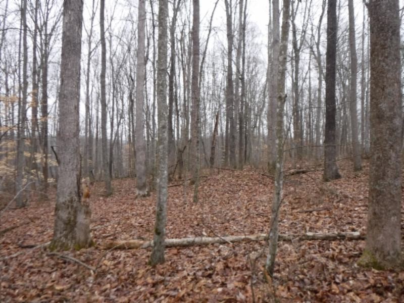 27 16ac Arrowhead Road Moss, TN 38575 - Photo 14 of 25 a close view of wooden fence