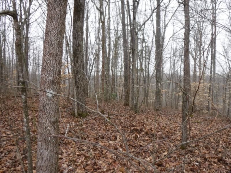 27 16ac Arrowhead Road Moss, TN 38575 - Photo 17 of 25
