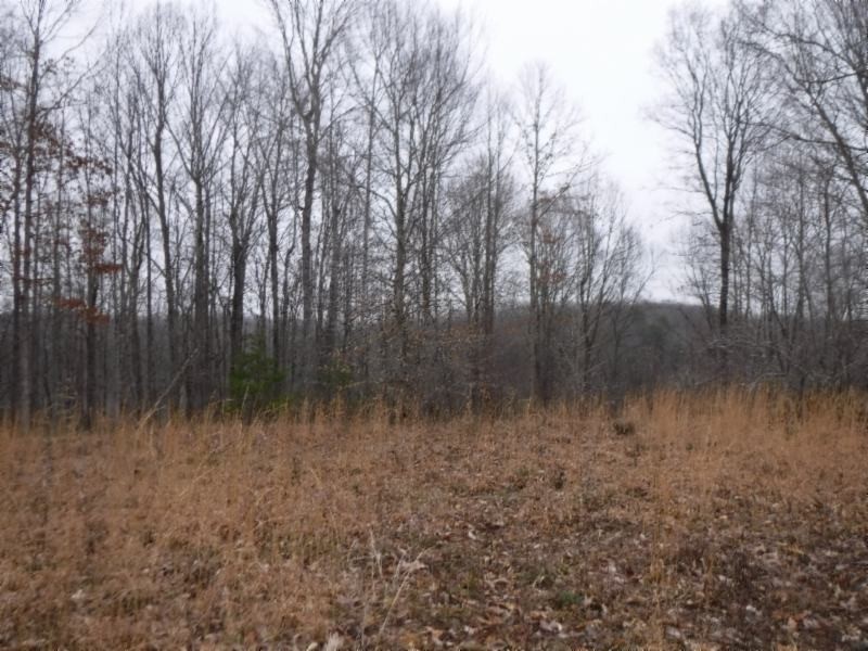 27 16ac Arrowhead Road Moss, TN 38575 - Photo 19 of 25 a view of a yard