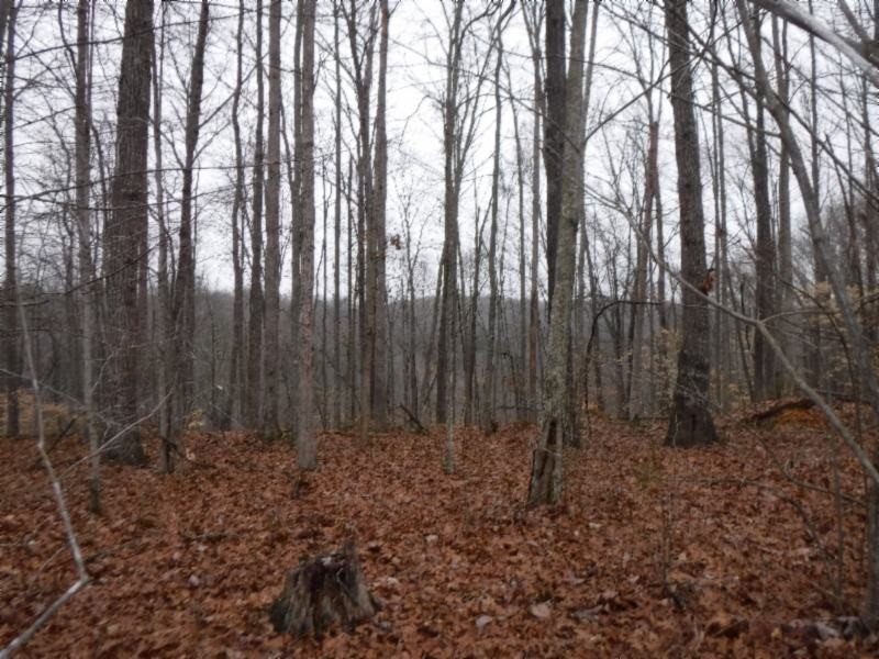 27 16ac Arrowhead Road Moss, TN 38575 - Photo 7 of 25 a view of backyard with green space