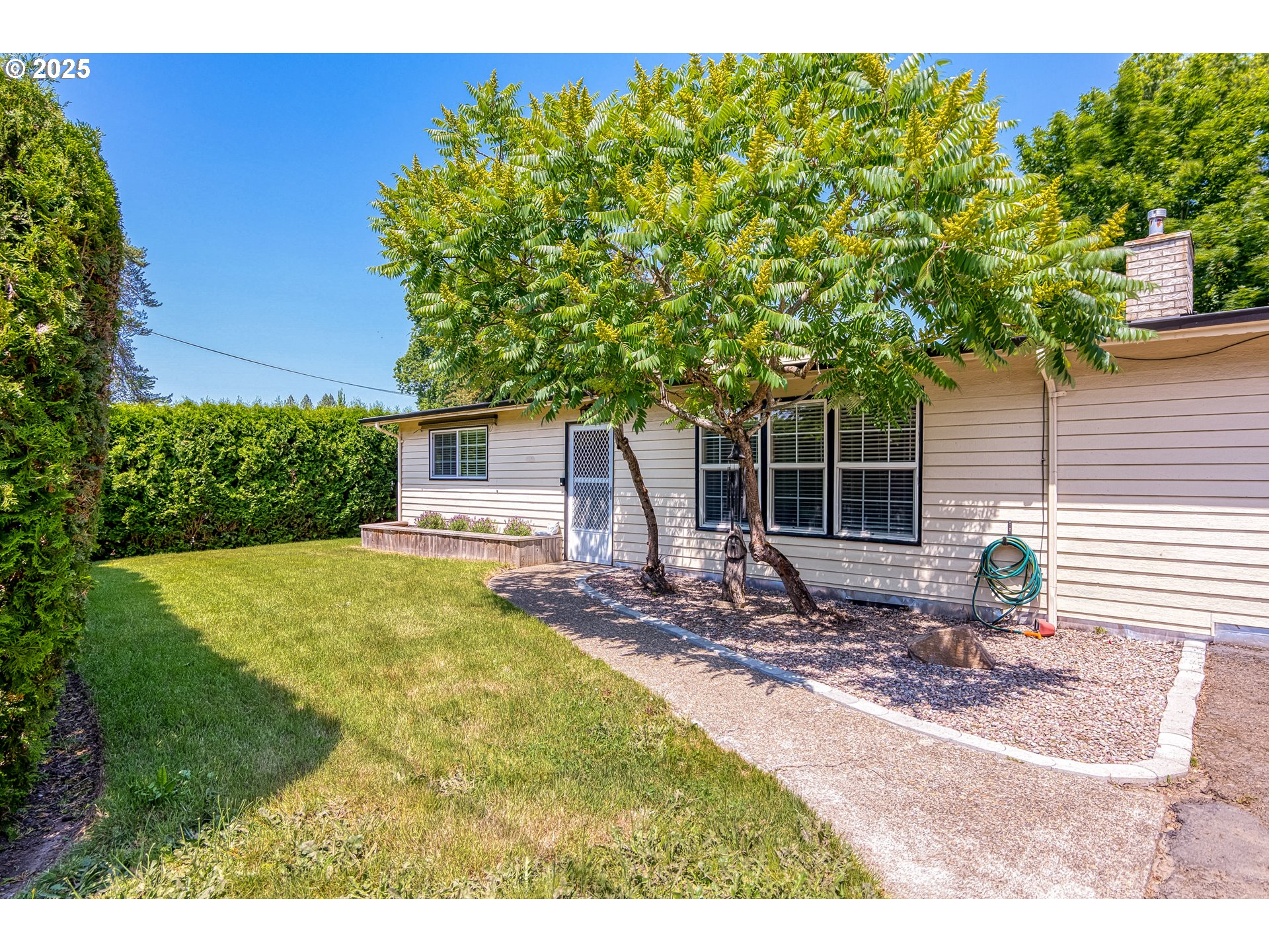 a view of house with backyard space and garden