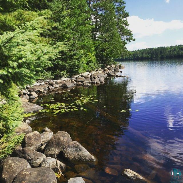 Tbd Tbd Maconnichi Road Orr, MN 55771 - Photo 2 of 4 Gallery Image 2