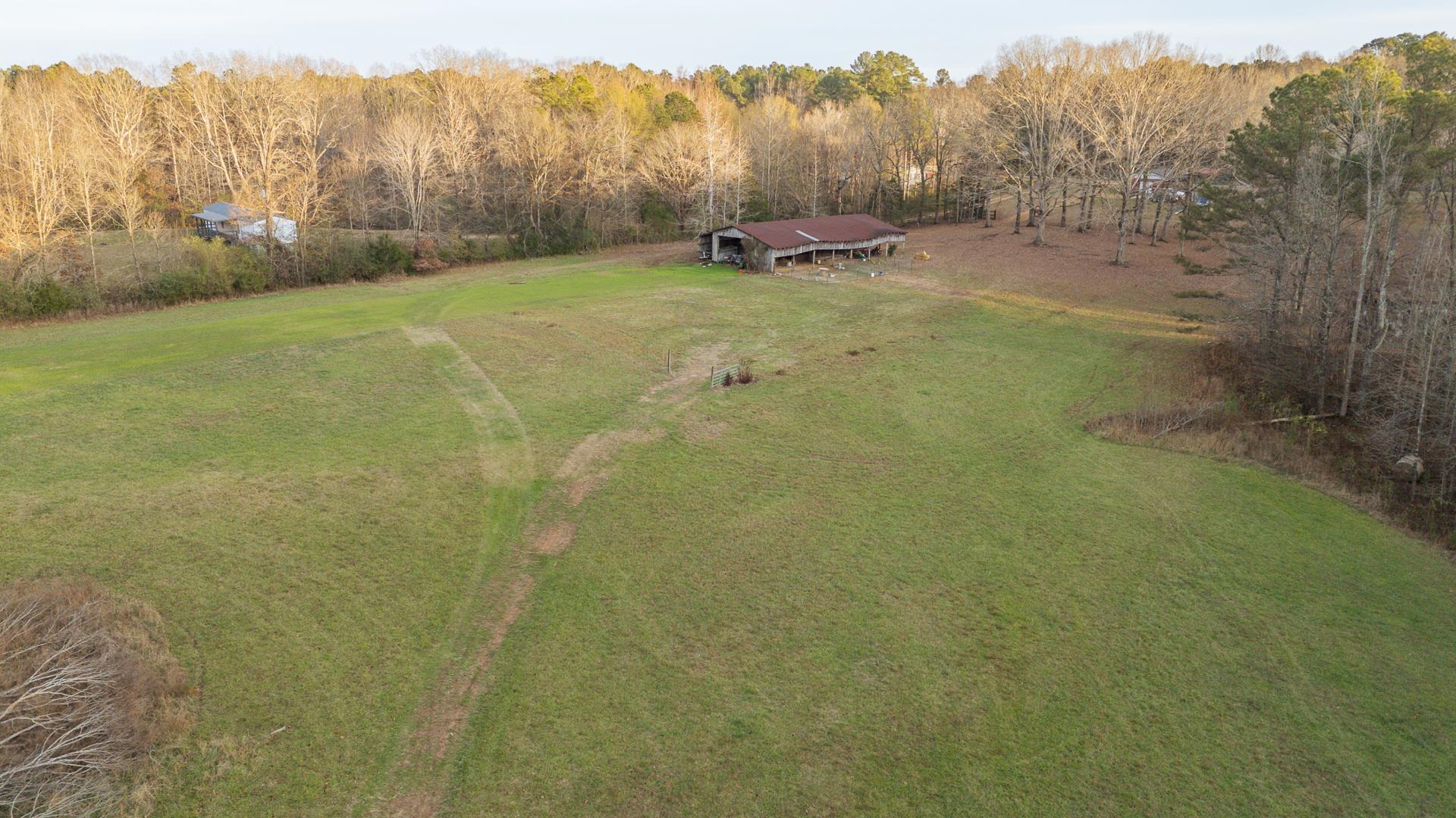 390 Woods Road Adamsville, TN 38310 - Photo 25 of 40 a view of a field with trees in the background