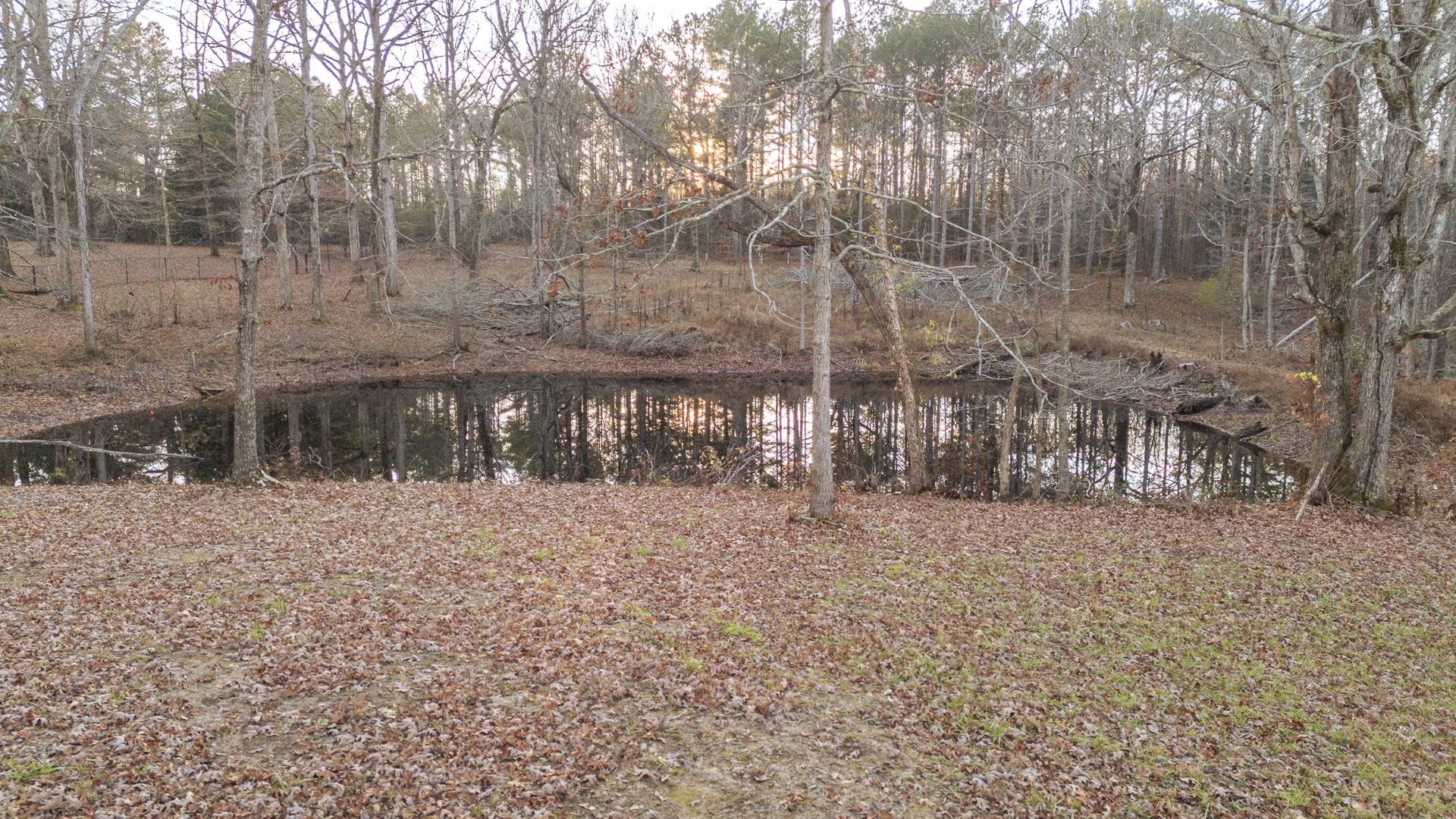 390 Woods Road Adamsville, TN 38310 - Photo 26 of 40 a backyard of a house with lots of green space