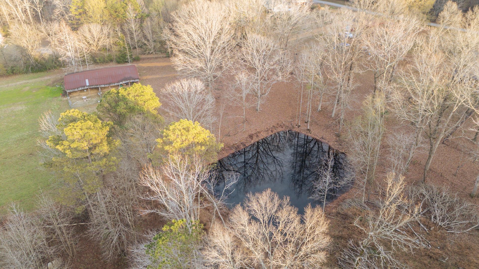 390 Woods Road Adamsville, TN 38310 - Photo 27 of 40 a close up of a plant in a garden