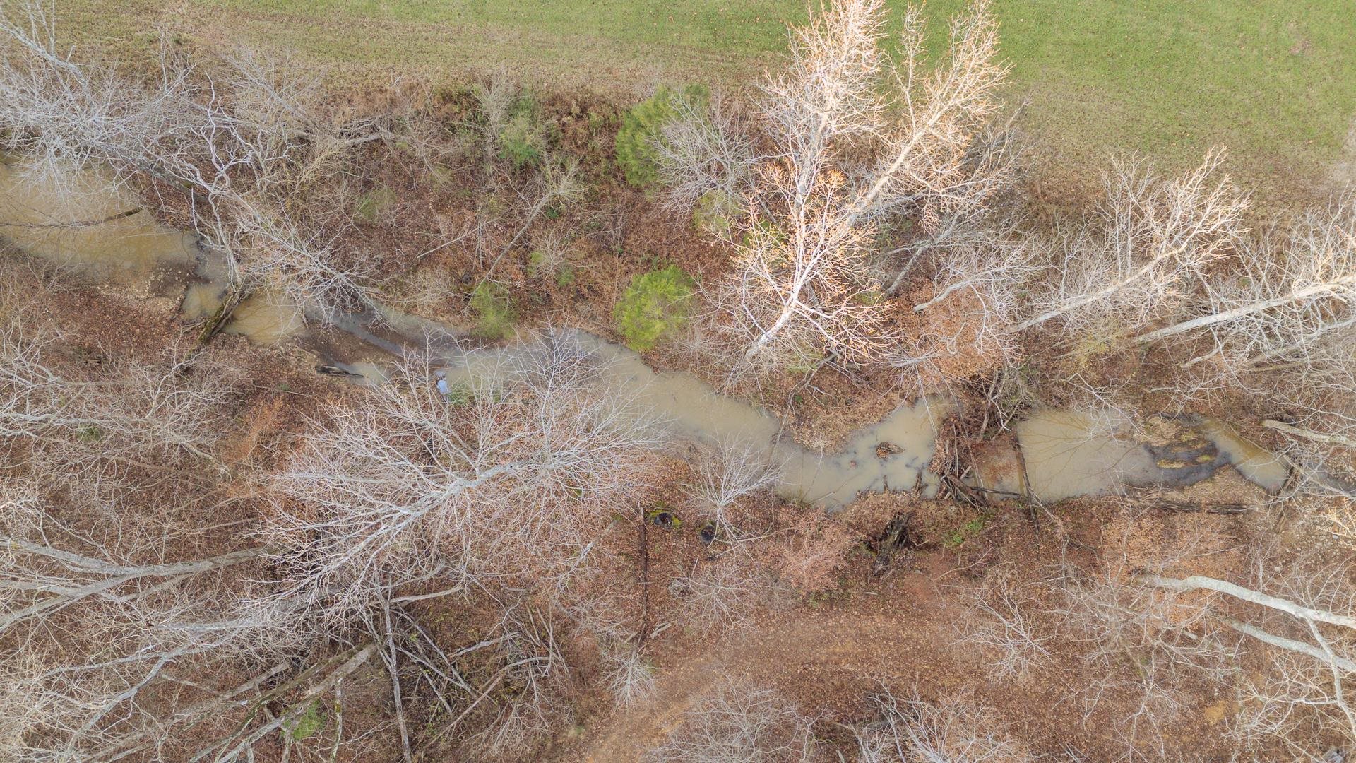 390 Woods Road Adamsville, TN 38310 - Photo 28 of 40 a view of a yard with a tree
