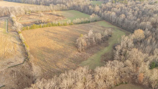 a bedroom with a bed