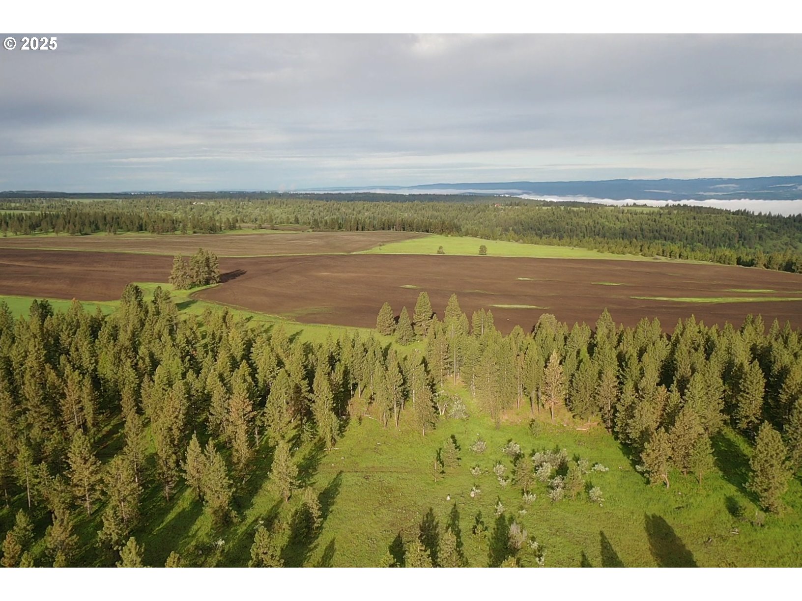 85388 Buford Ridge Road Enterprise, OR 97828 - Photo 11 of 23