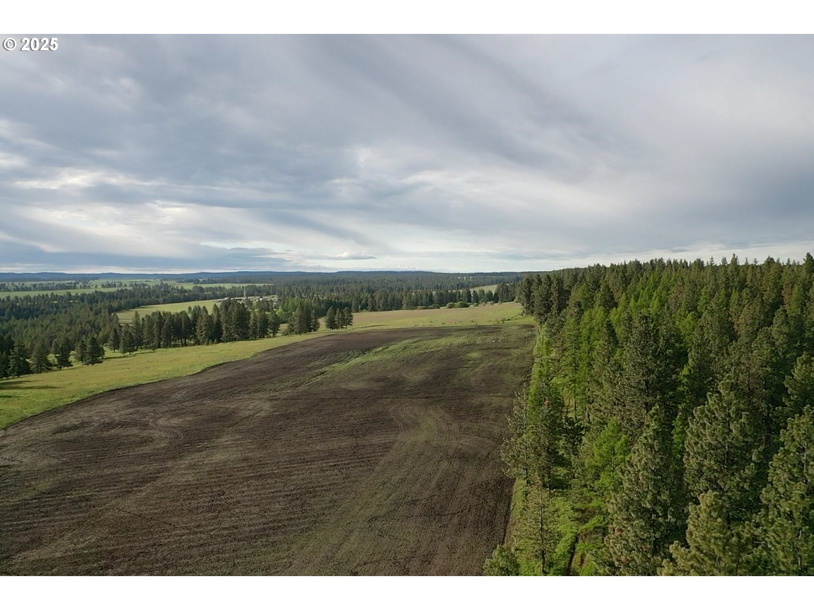 85388 Buford Ridge Road Enterprise, OR 97828 - Photo 12 of 23