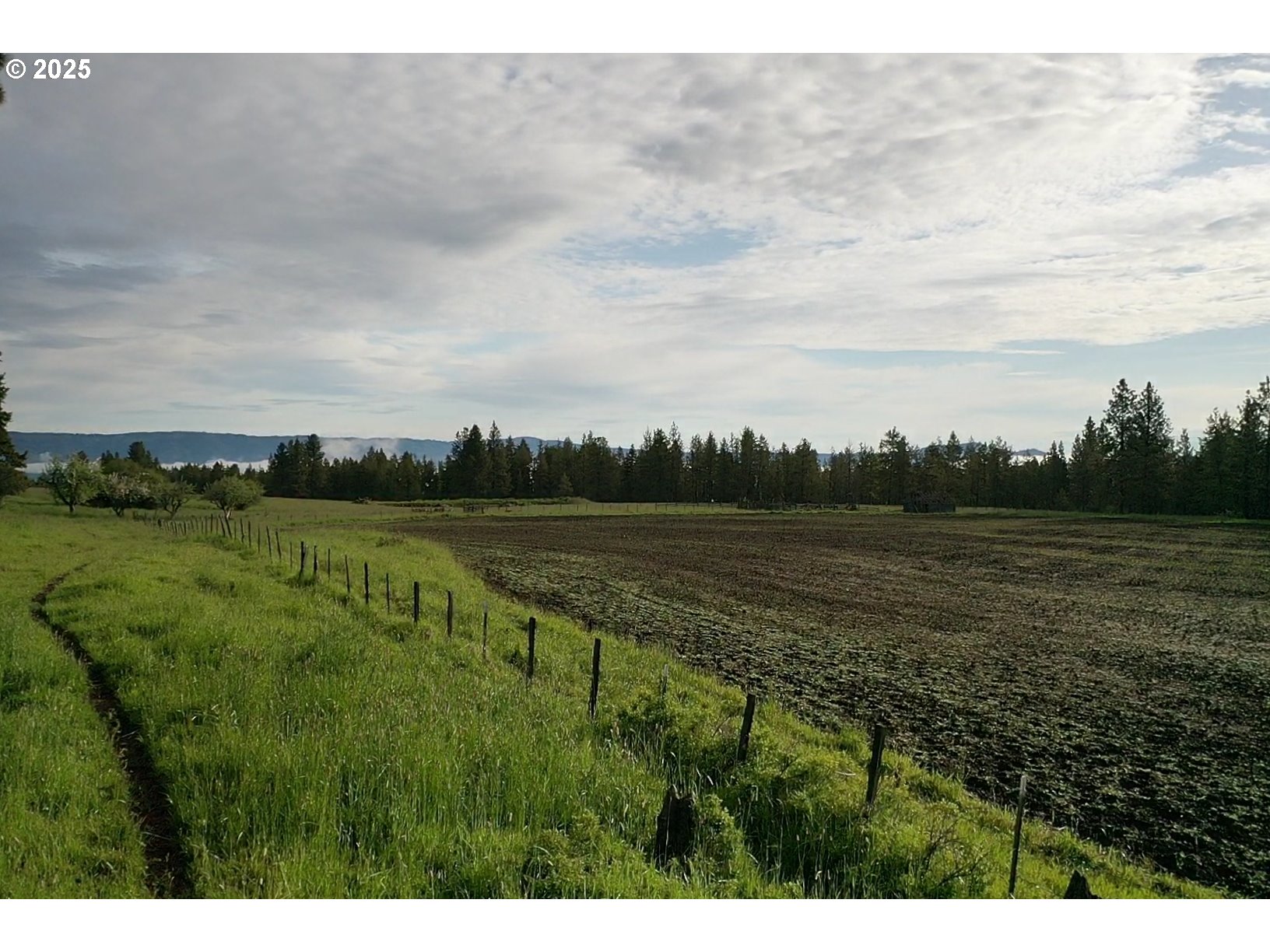 85388 Buford Ridge Road Enterprise, OR 97828 - Photo 13 of 23