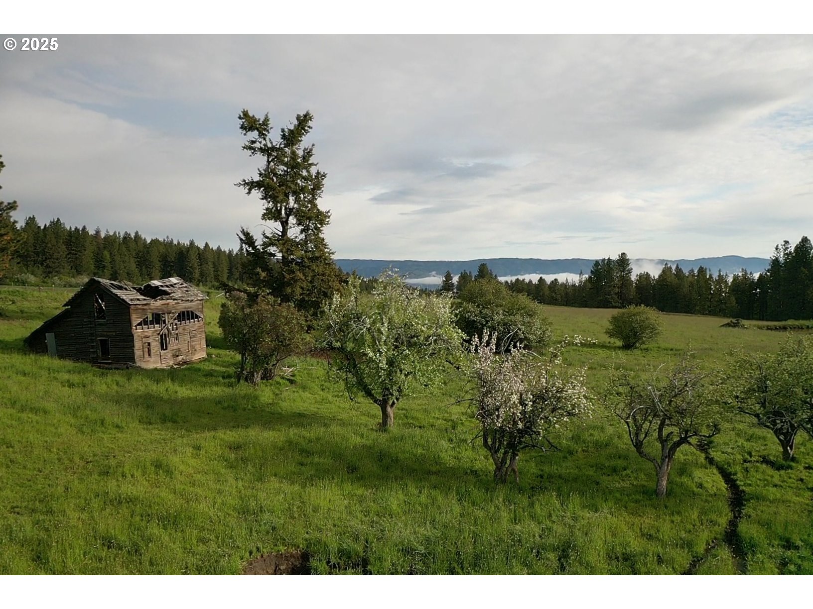 85388 Buford Ridge Road Enterprise, OR 97828 - Photo 14 of 23