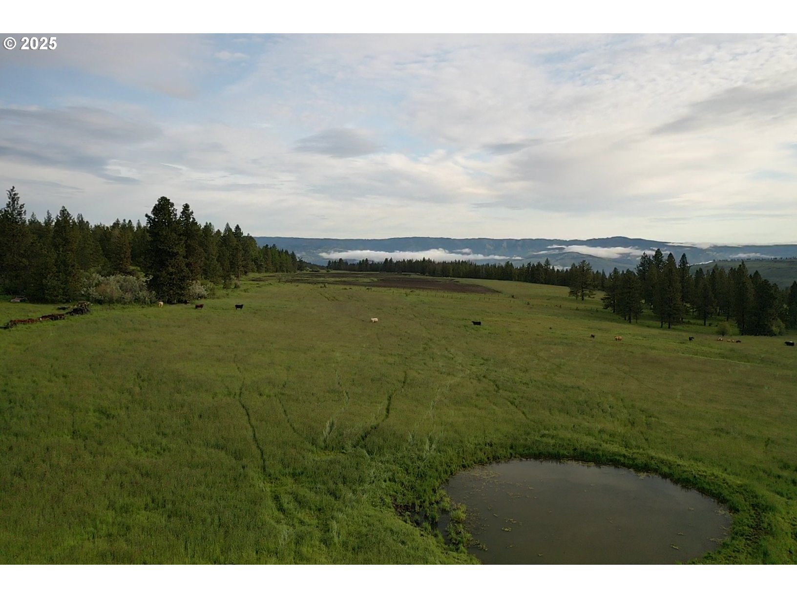 85388 Buford Ridge Road Enterprise, OR 97828 - Photo 15 of 23