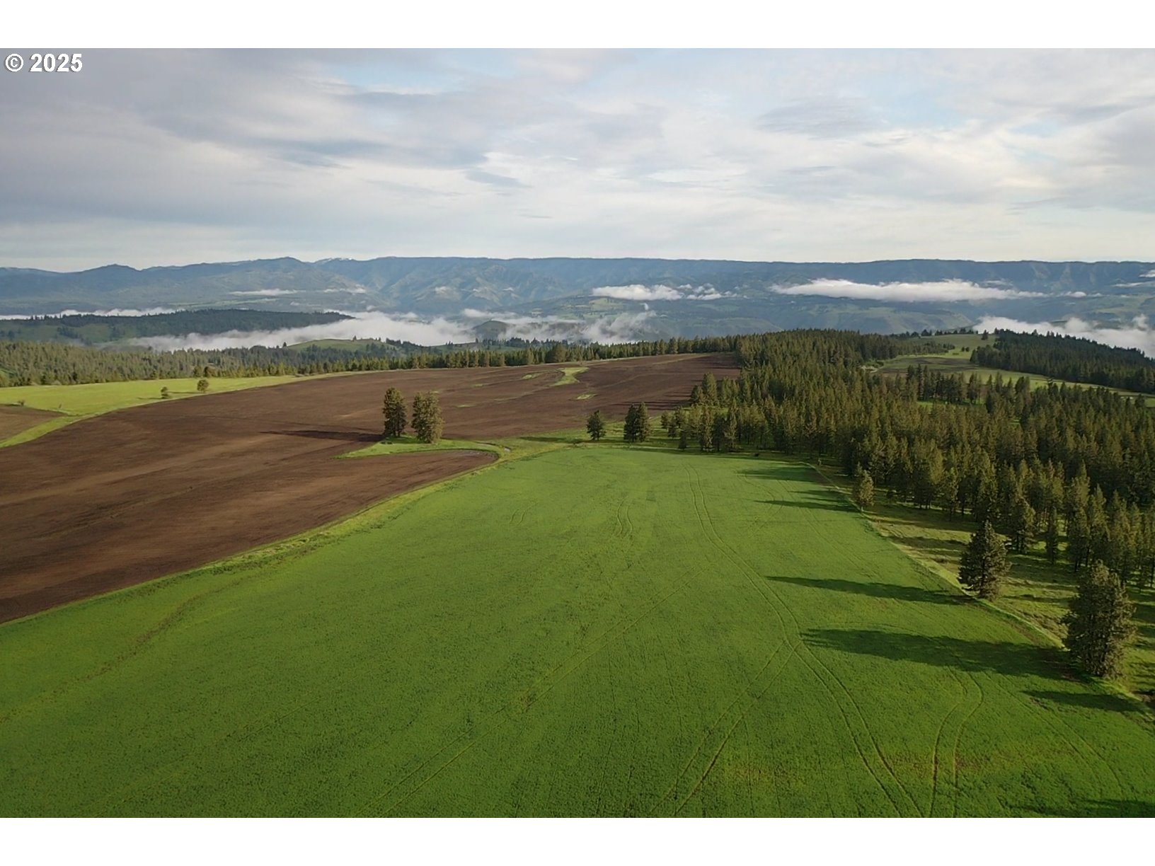 85388 Buford Ridge Road Enterprise, OR 97828 - Photo 17 of 23