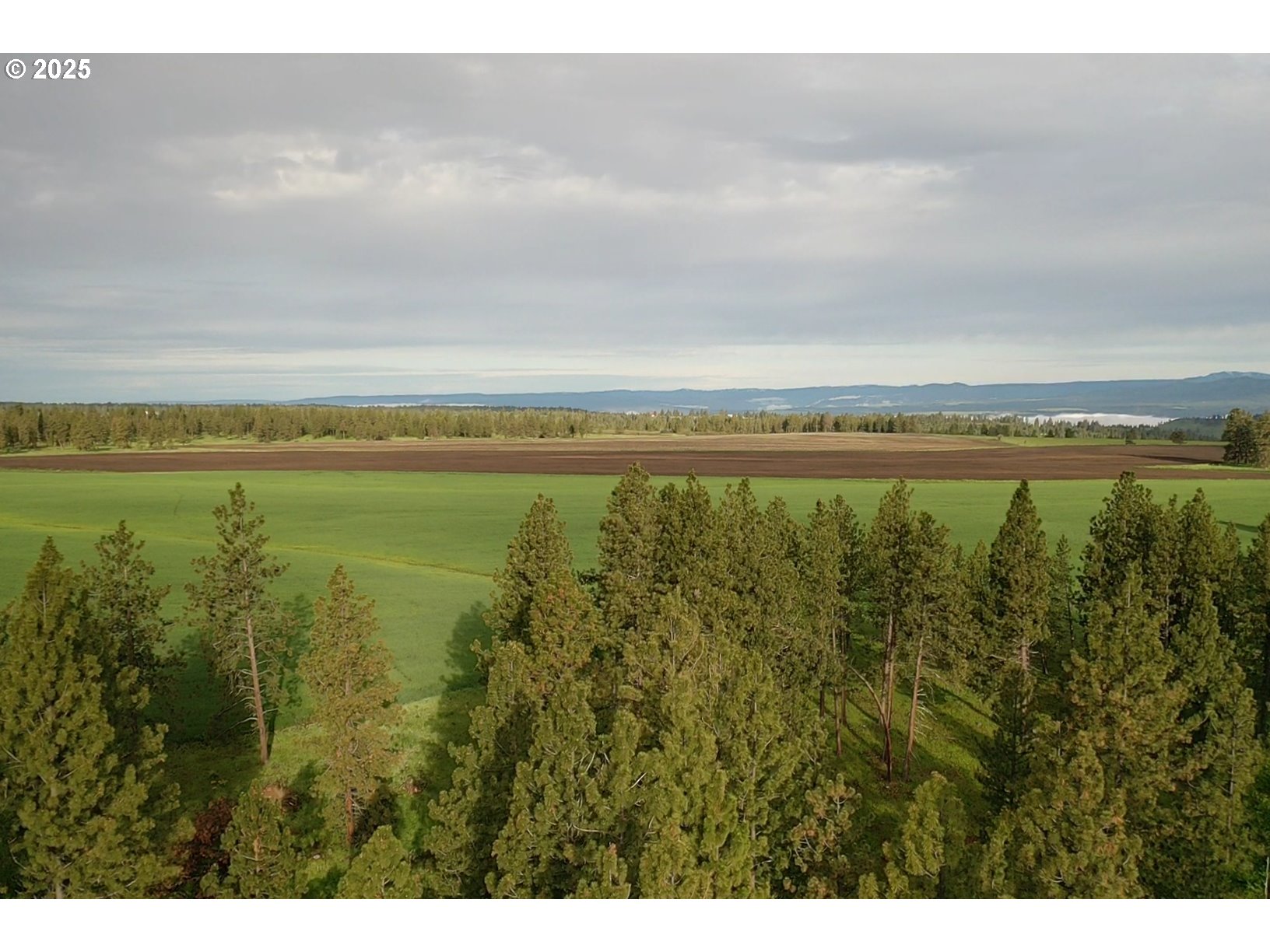 85388 Buford Ridge Road Enterprise, OR 97828 - Photo 18 of 23