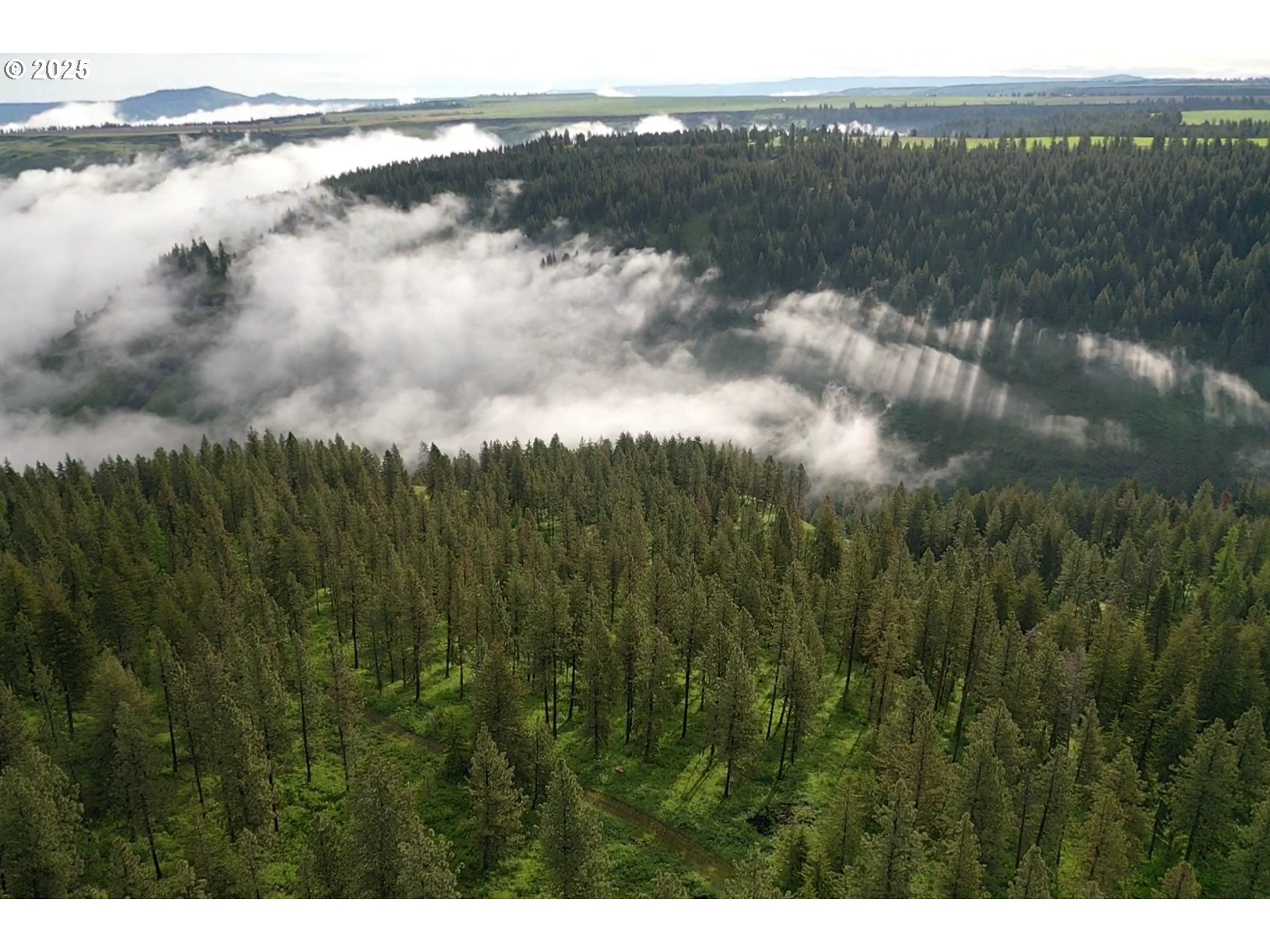 85388 Buford Ridge Road Enterprise, OR 97828 - Photo 19 of 23