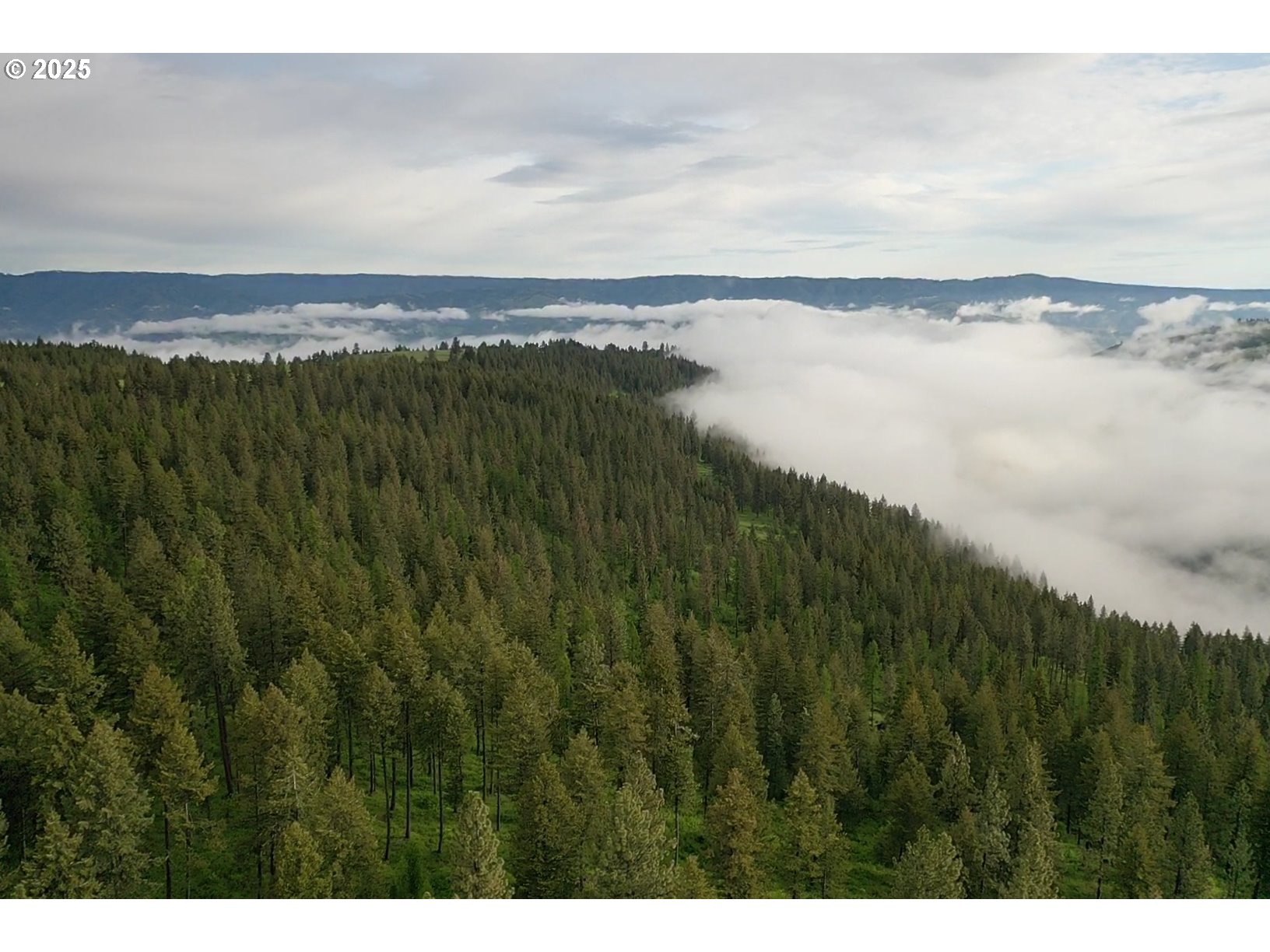 85388 Buford Ridge Road Enterprise, OR 97828 - Photo 20 of 23