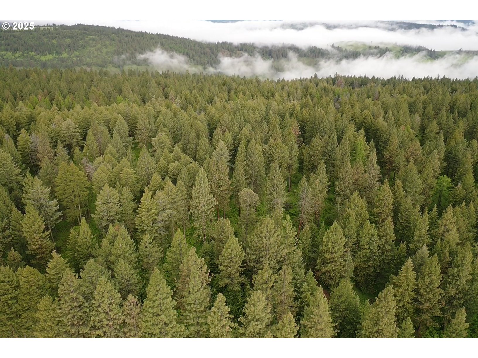 85388 Buford Ridge Road Enterprise, OR 97828 - Photo 21 of 23