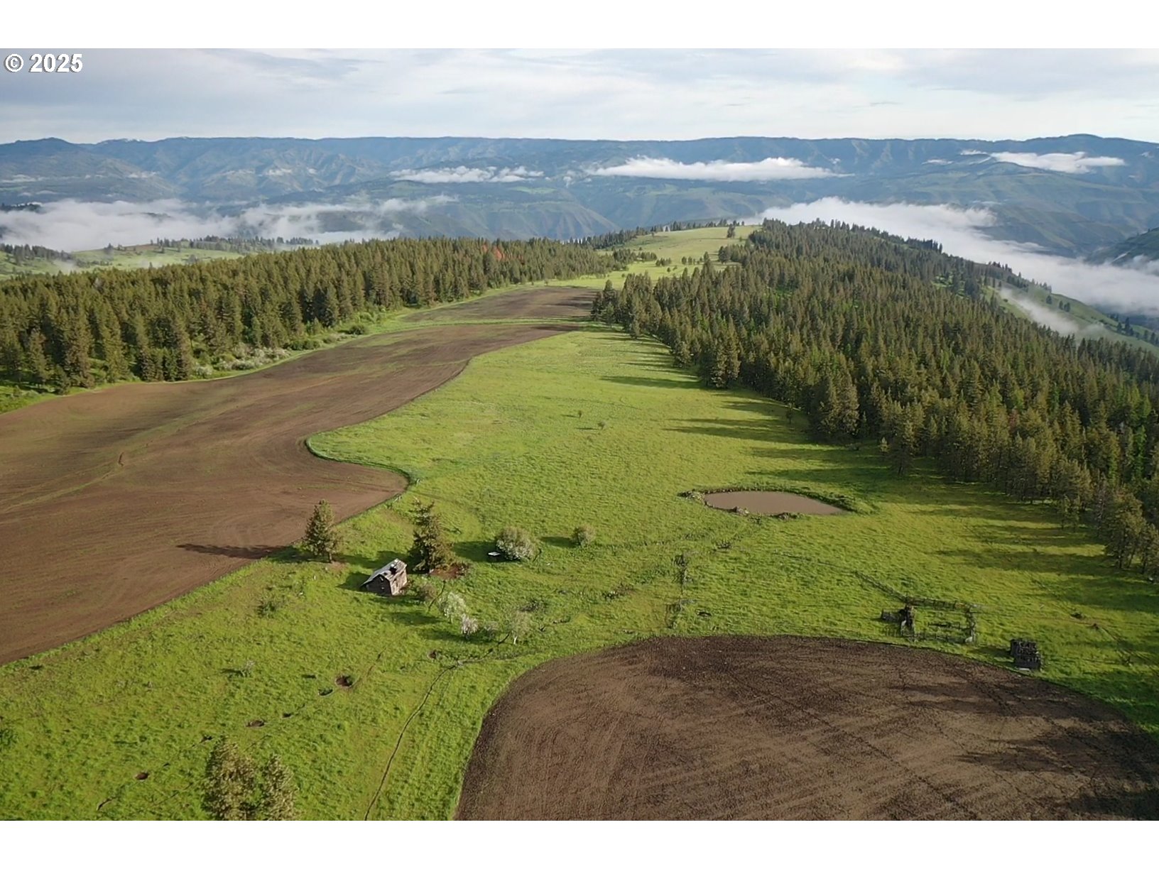 85388 Buford Ridge Road Enterprise, OR 97828 - Photo 9 of 23