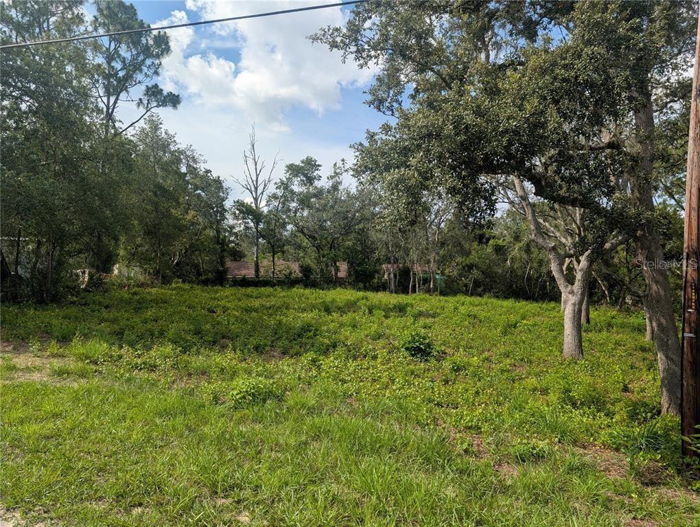 0 Merlin Circle Dade City, FL 33523 - Photo 2 of 8