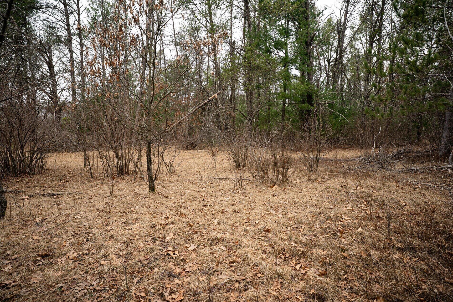 N3969 Hunter Haven Road Manchester, WI 54615 - Photo 13 of 15 13-N3969 Hunter Haven Rd Black River Fal