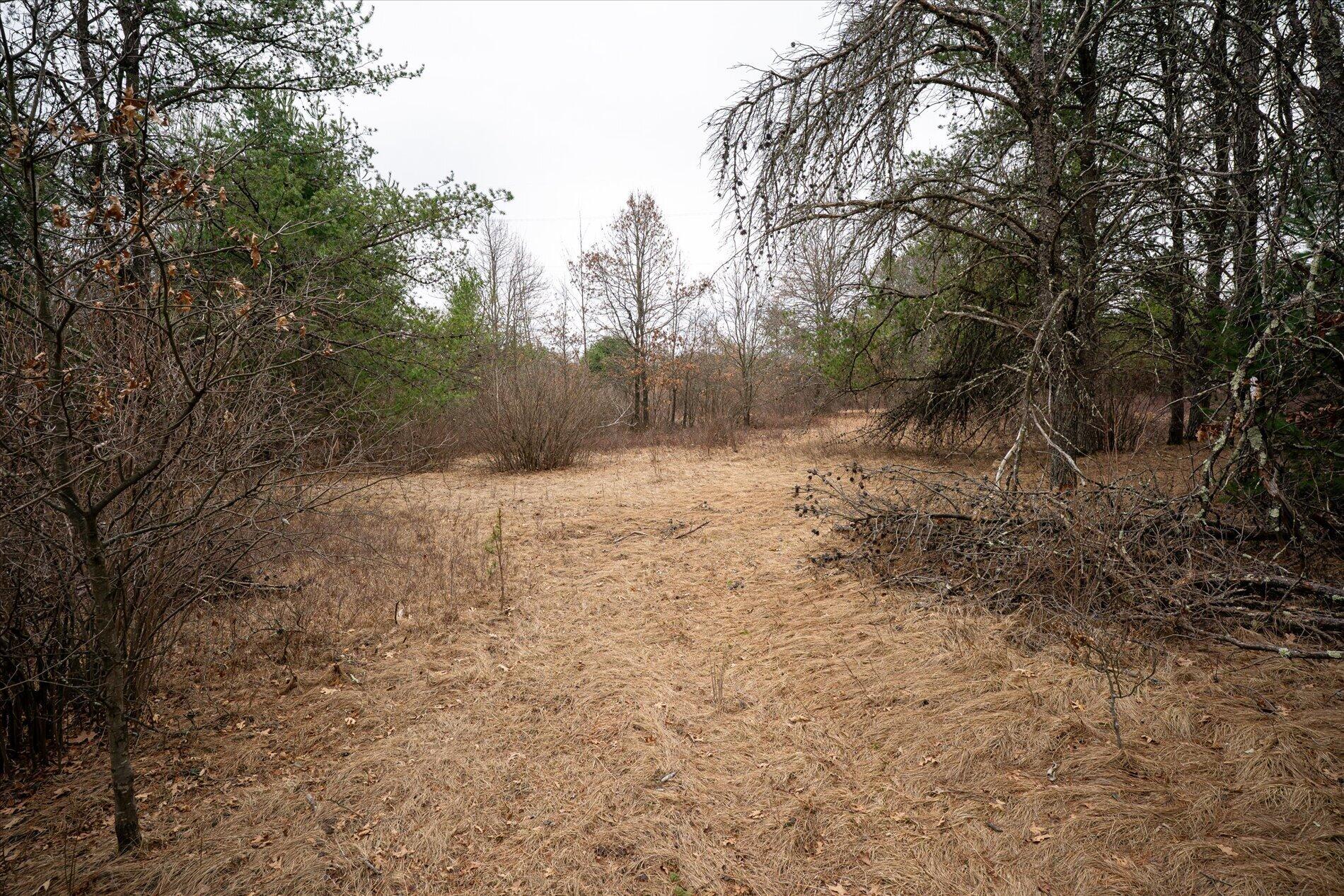 N3969 Hunter Haven Road Manchester, WI 54615 - Photo 14 of 15 14-N3969 Hunter Haven Rd Black River Fal