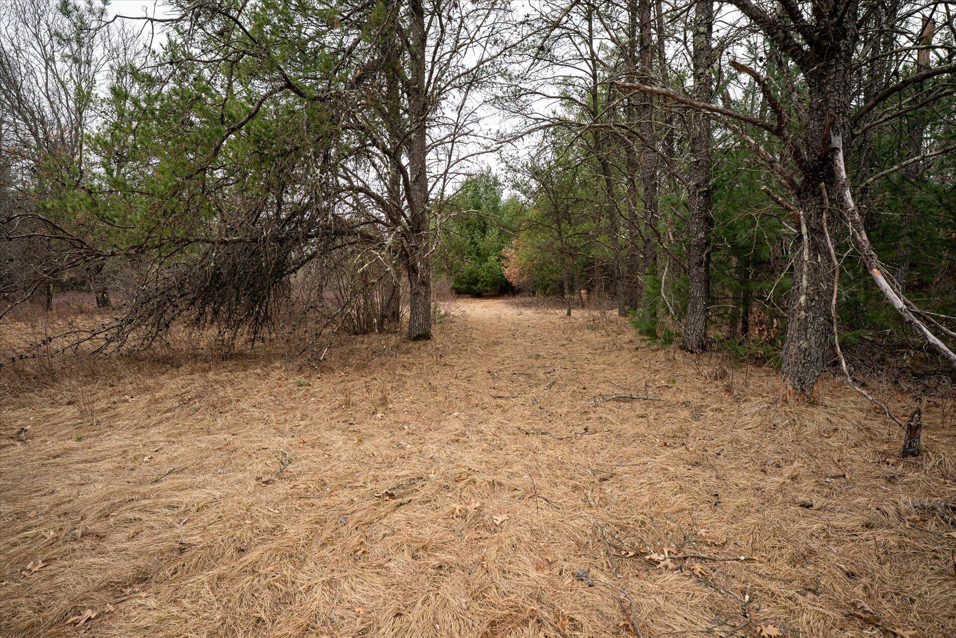 N3969 Hunter Haven Road Manchester, WI 54615 - Photo 15 of 15 15-N3969 Hunter Haven Rd Black River Fal
