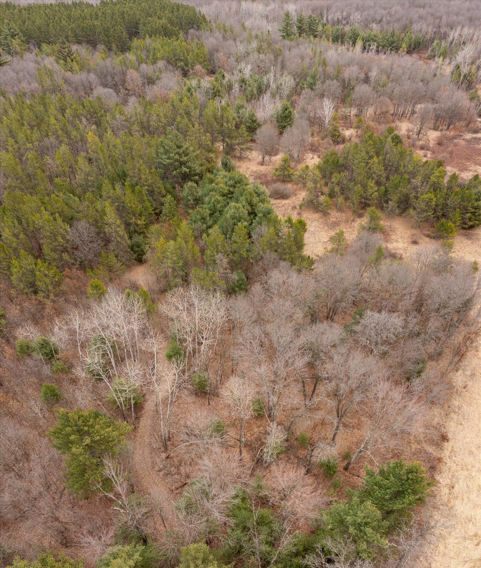 N3969 Hunter Haven Road Manchester, WI 54615 - Photo 4 of 15 04-N3969 Hunter Haven Rd Black River Fal