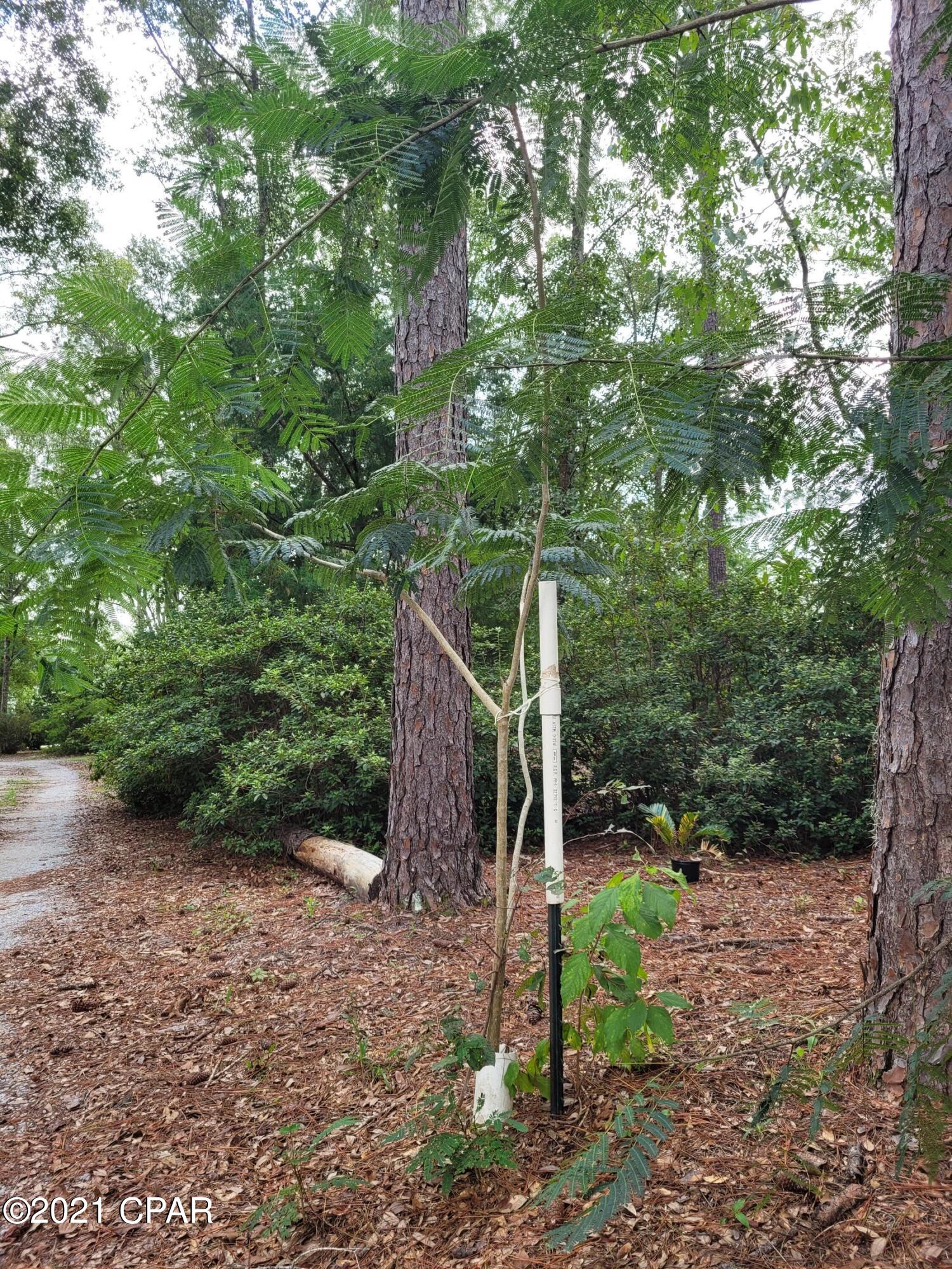 5296 Baxter Road Malone, FL 32445 - Photo 41 of 48 Gallery Image 41