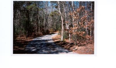 Undisclosed Address Cotuit, MA 02635 - Photo 10 of 10 Additional Photo