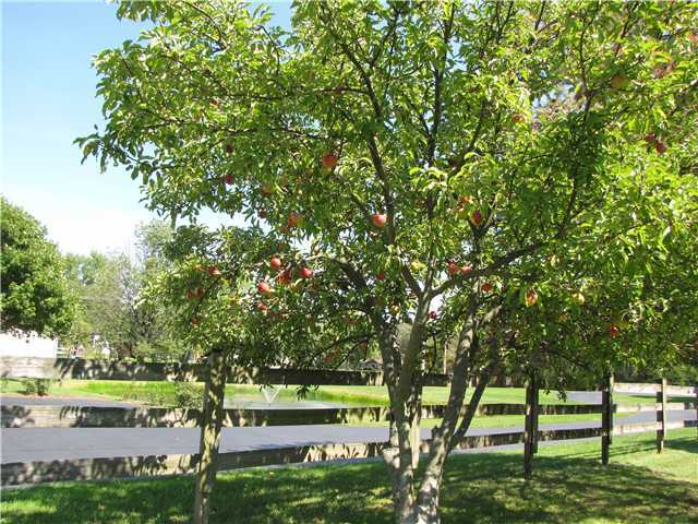 5846 South Old State Road Lewis Center, OH 43035 - Photo 23 of 25 Gallery Image 23