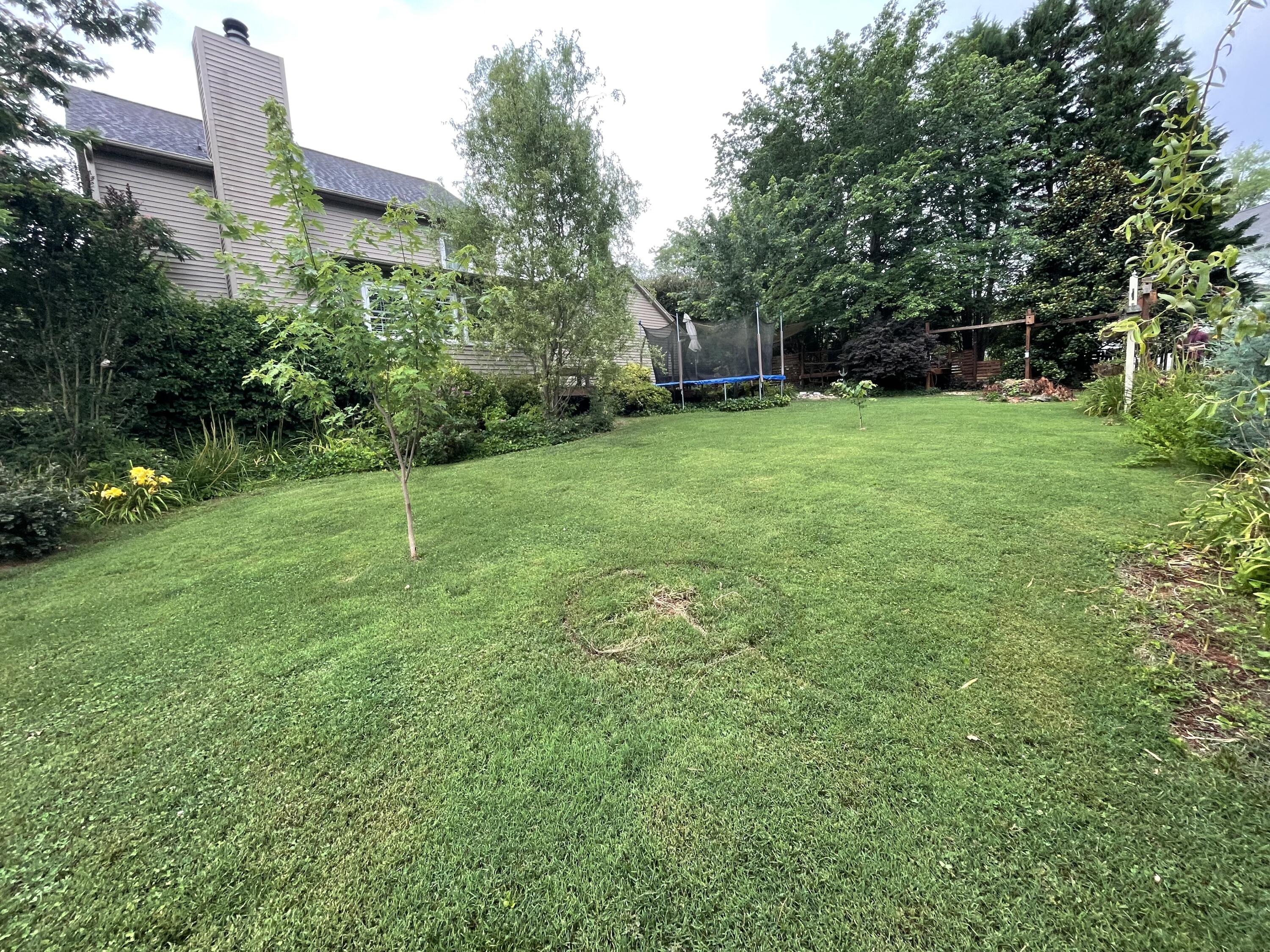 1233 Chelsea Road Knoxville, TN 37922 - Photo 22 of 25 358A210E-A441-4B3E-9249-AD8EDBC82AC1