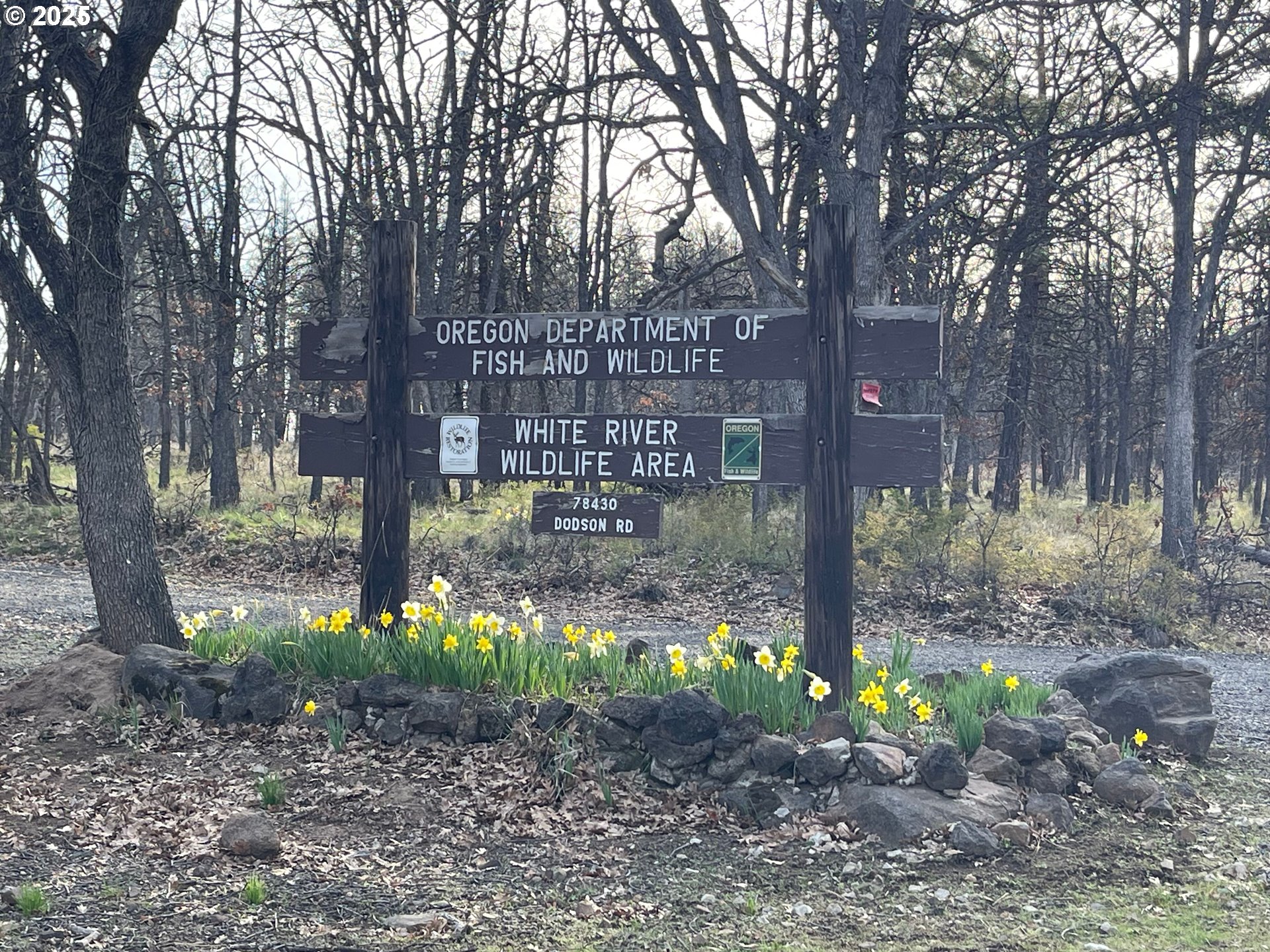 131 Dodson Road Tygh Valley, OR 97063 - Photo 23 of 31 a backyard of a house with lots of green space