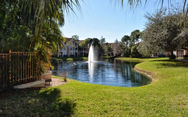 a view of a backyard with palm trees