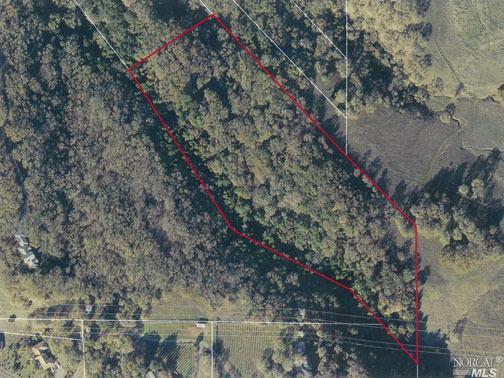 420 Mark West Springs Road Santa Rosa, CA 95404 - Photo 1 of 1 a yard with large trees