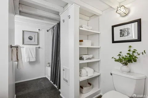 a view of bathroom with a potted plant on the wall