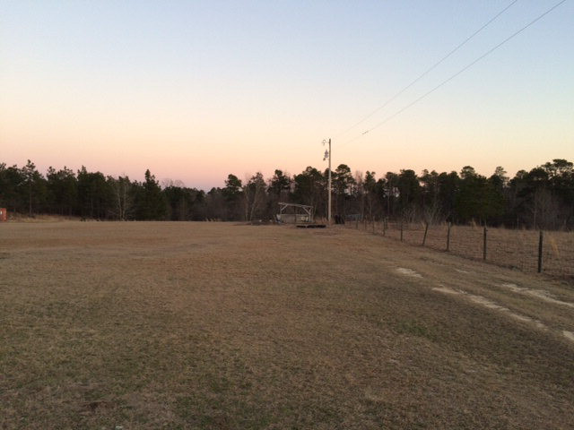 410 Beck Road Williston, SC 29853 - Photo 5 of 9 a view of a field with trees in background