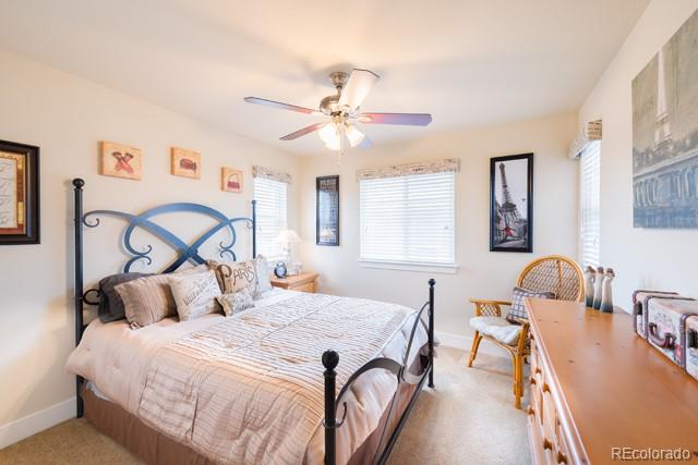 10480 Rutledge Street Parker, CO 80134 - Photo 11 of 15 Gallery Image 11