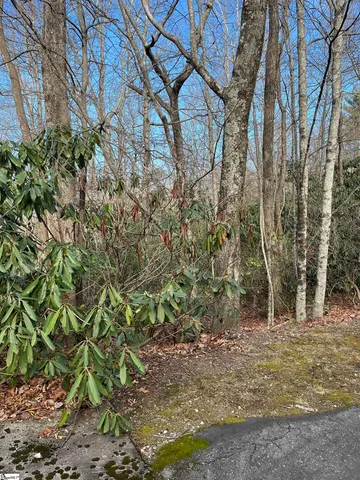$19,500 | Tbd Cliff Ridge Drive, Cleveland, SC 29635