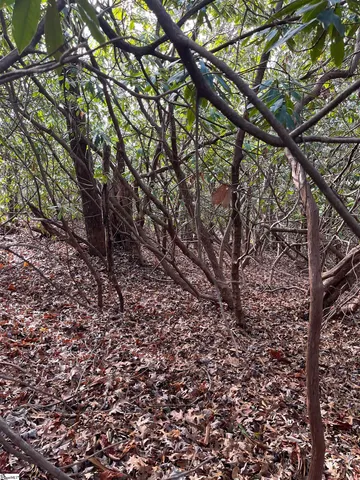 $19,500 | Tbd Cliff Ridge Drive, Cleveland, SC 29635