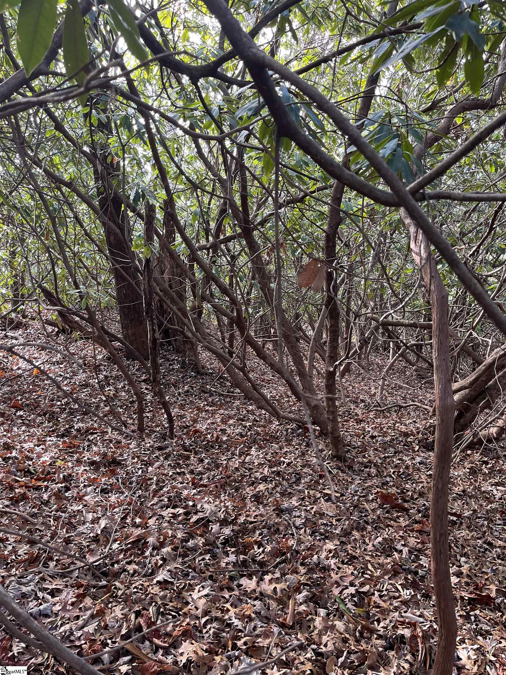 Tbd Cliff Ridge Drive Cleveland, SC 29635 - Photo 11 of 19