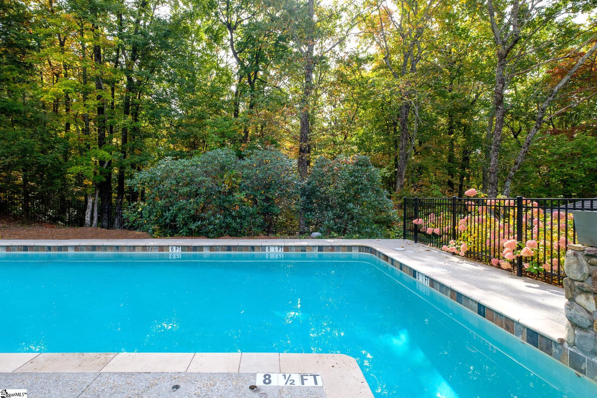 Tbd Cliff Ridge Drive Cleveland, SC 29635 - Photo 16 of 19